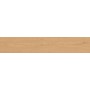 ENTICE PALE OAK NATURAL GRIP 20x120 Rectified