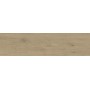 ENTICE ASH OAK NATURAL OUTDOOR 30x120 rectified - 20MM