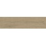 ENTICE ASH OAK NATURAL OUTDOOR 30x120 rectified - 20MM