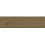 ENTICE BROWNED OAK NATURAL OUTDOOR 30x120 RETT - 20MM