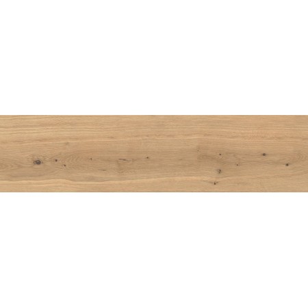 LOG ICON OAK FOREST OUTDOOR 30X120 MATT RETT. 20MM
