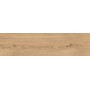 LOG ICON OAK FOREST OUTDOOR 30X120 MATT Rectified 20MM