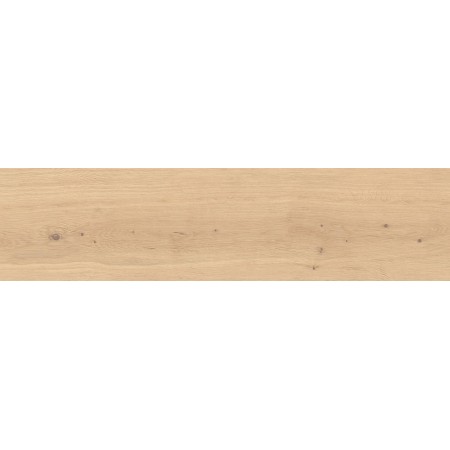 LOG BRIGHT OAK FOREST OUTDOOR 30X120 MATT RETT. 20MM