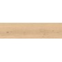 LOG BRIGHT OAK FOREST OUTDOOR 30X120 MATT RETT. 20MM