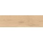 LOG BRIGHT OAK FOREST OUTDOOR 30X120 MATT RETT. 20MM