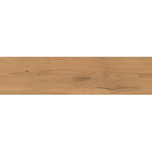 LOG AMBER OAK FOREST OUTDOOR 30X120 MATT RETT. 20MM
