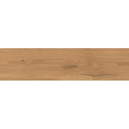 LOG AMBER OAK FOREST OUTDOOR 30X120 MATT Rectified 20MM