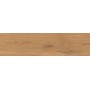 LOG AMBER OAK FOREST OUTDOOR 30X120 MATT RETT. 20MM