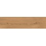 LOG AMBER OAK FOREST OUTDOOR 30X120 MATT RETT. 20MM