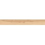 LOG CANSEI RIALTO 18,5X150 RETTIFICATO