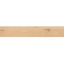 LOG CANSEI RIALTO GRIP 20X120 RECTIFIED