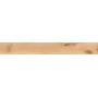 LOG CANSEI MURANO 18,5X150 RETTIFICATO