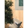LOG CANSEI MURANO GRIP 20X120 RECTIFIED