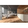 LOG CANSEI FENICE 18.5X150 Rectified