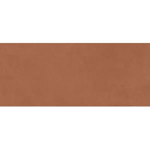 PRISM CARAMEL MATT 50X120