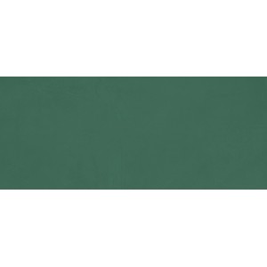 PRISM EMERALD MATT 50X120