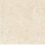 LIMS IVORY MATT 120X120 RETTIFICATO