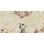 copy of MARVEL GALA EXOTIC GREEN LUCIDO 120X120