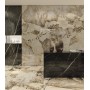 copy of MARVEL GALA EXOTIC GREEN LUCIDO 120X120