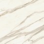 MARVEL MERAVIGLIA CALACATTA BERNINI LUCIDO 120X120 RETT.