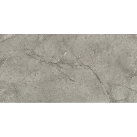 MARVEL MERAVIGLIA SILVER MAJESTIC MATT 60X120 RETT.