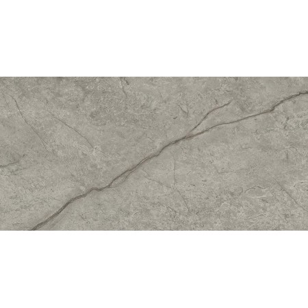 MARVEL MERAVIGLIA SILVER MAJESTIC MATT 30X60 RETT.