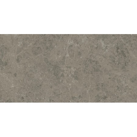 MARVEL MERAVIGLIA GRIGIO ELEGANTE LUCIDO 60X120 RETT.