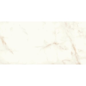 copy of MARVEL SHINE CALACATTA DELICATO LUCIDO 120X120