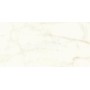 copy of MARVEL SHINE CALACATTA DELICATO LUCIDO 120X120