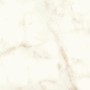 copy of MARVEL SHINE CALACATTA DELICATO LUCIDO 120X120