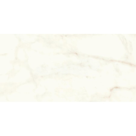 copy of MARVEL SHINE CALACATTA DELICATO LUCIDO 120X120