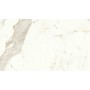 copy of MARVEL SHINE CALACATTA DELICATO LUCIDO 120X120