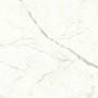 copy of MARVEL SHINE CALACATTA DELICATO LUCIDO 120X120