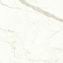 copy of MARVEL SHINE CALACATTA DELICATO LUCIDO 120X120