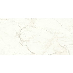 copy of MARVEL SHINE CALACATTA DELICATO LUCIDO 120X120