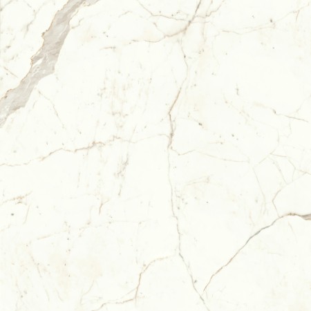 copy of MARVEL SHINE CALACATTA DELICATO LUCIDO 120X120
