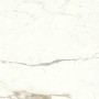 copy of MARVEL SHINE CALACATTA DELICATO LUCIDO 120X120