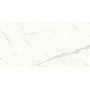 copy of MARVEL SHINE CALACATTA DELICATO LUCIDO 120X120