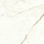 copy of MARVEL SHINE CALACATTA DELICATO LUCIDO 120X120