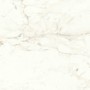 copy of MARVEL SHINE CALACATTA DELICATO LUCIDO 120X120