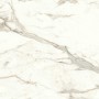 copy of MARVEL SHINE CALACATTA DELICATO LUCIDO 120X120