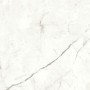 copy of MARVEL SHINE CALACATTA DELICATO LUCIDO 120X120