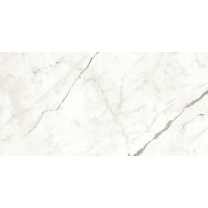 copy of MARVEL SHINE CALACATTA DELICATO LUCIDO 120X120