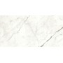 copy of MARVEL SHINE CALACATTA DELICATO LUCIDO 120X120