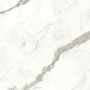 copy of MARVEL SHINE CALACATTA DELICATO LUCIDO 120X120