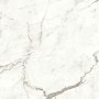 copy of MARVEL SHINE CALACATTA DELICATO LUCIDO 120X120