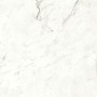 copy of MARVEL SHINE CALACATTA DELICATO LUCIDO 120X120