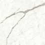 copy of MARVEL SHINE CALACATTA DELICATO LUCIDO 120X120