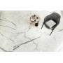 copy of MARVEL SHINE CALACATTA DELICATO LUCIDO 120X120