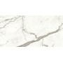 copy of MARVEL SHINE CALACATTA DELICATO LUCIDO 120X120